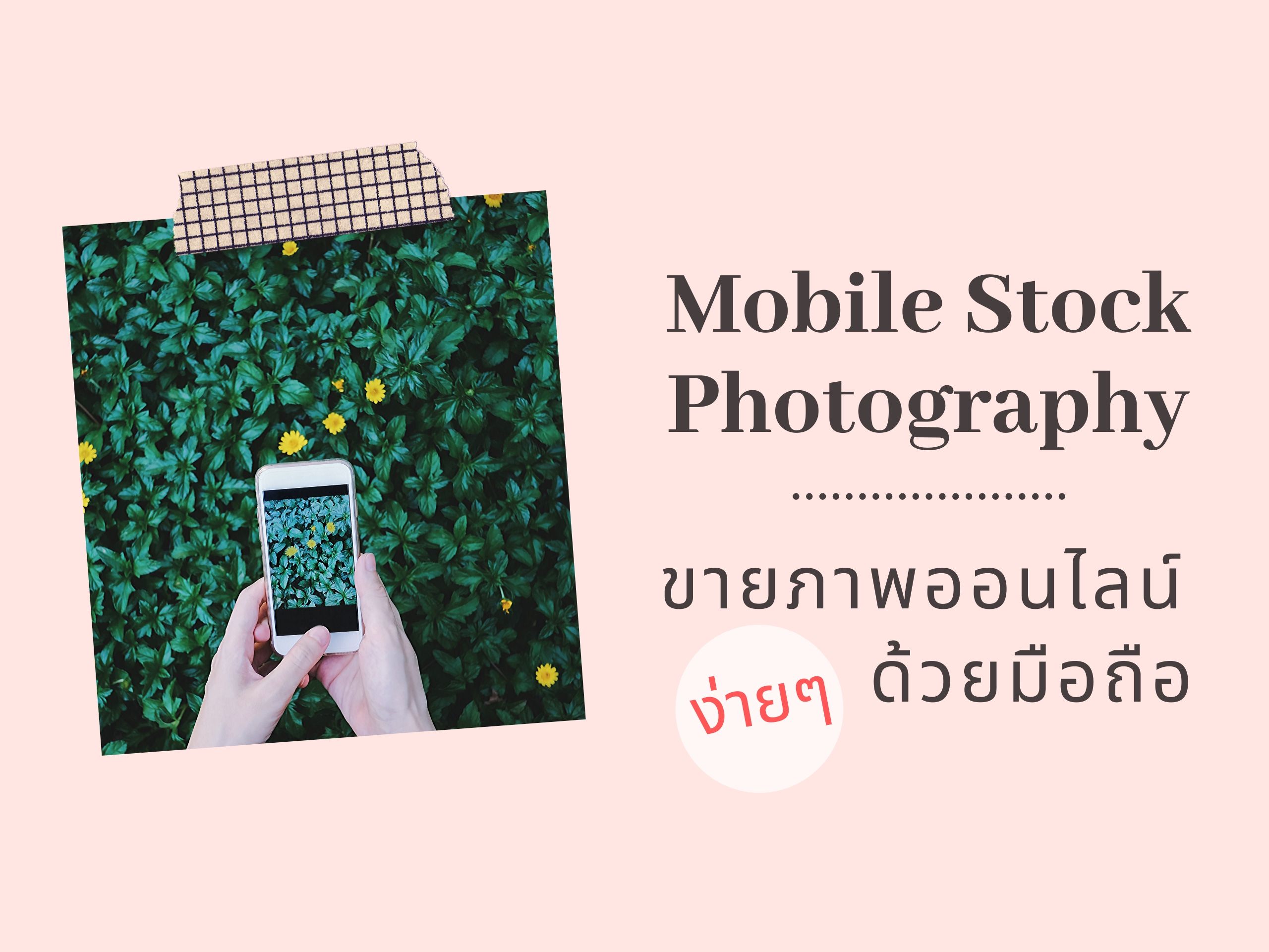 ภาพที่ 2
